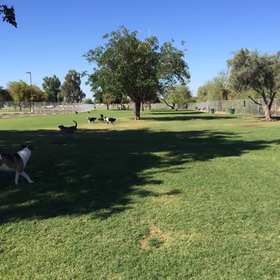 Dog Park at Paradise Valley Park photo 2